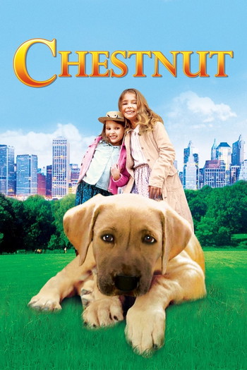 Poster for the movie «Chestnut: Hero of Central Park»