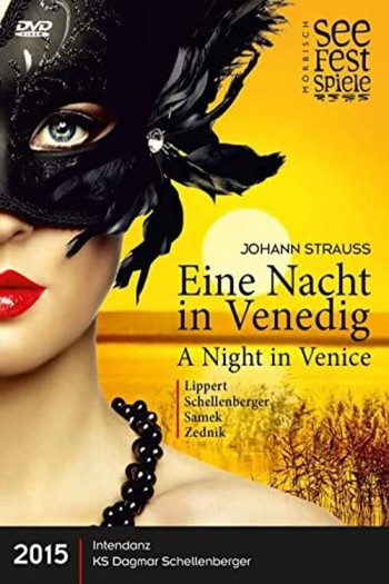 Poster for the movie «Eine Nacht in Venedig»