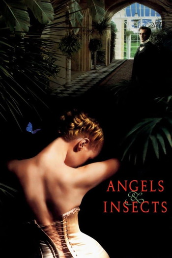 Poster for the movie «Angels and Insects»