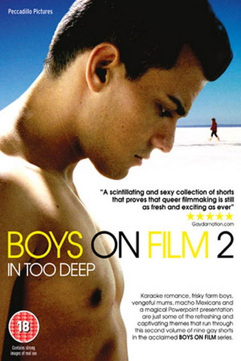 Poster for the movie «Boys On Film 2: In Too Deep»