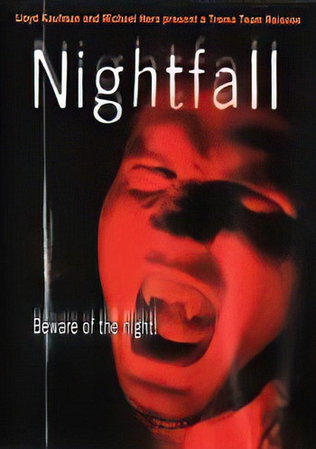 Poster for the movie «Nightfall»