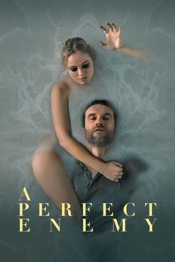 Poster for the movie «A Perfect Enemy»