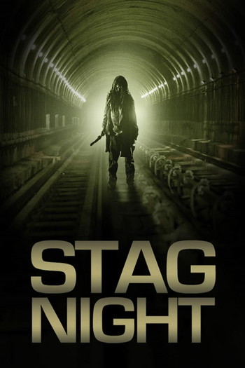 Poster for the movie «Stag Night»