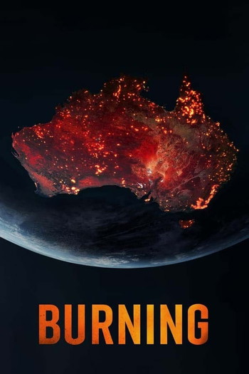 Poster for the movie «Burning»