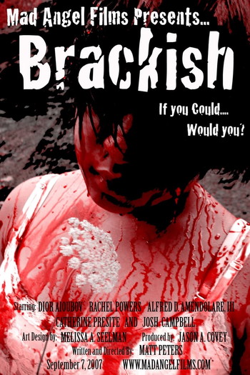 Poster for the movie «Brackish»