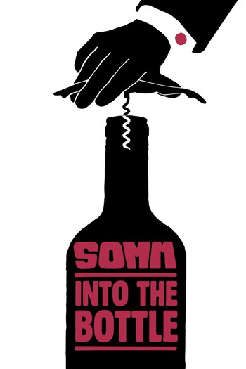 Poster for the movie «Somm: Into the Bottle»