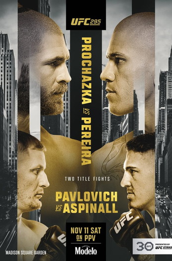 Poster for the movie «UFC 295: Prochazka vs. Pereira»