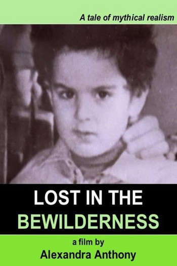 Poster for the movie «Lost in the Bewilderness»