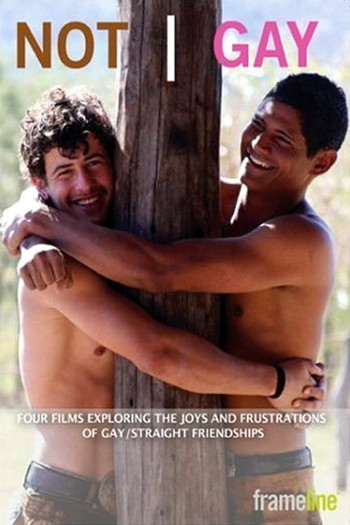 Poster for the movie «Not Gay»