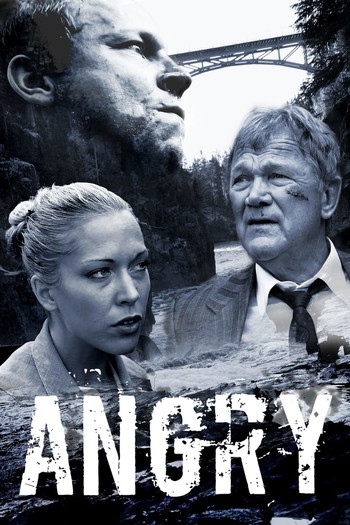 Poster for the movie «Angry»