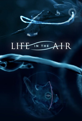 Poster for the movie «Life in the Air»