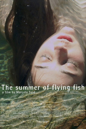 Poster for the movie «The Summer of Flying Fish»