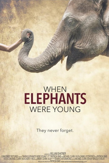 Poster for the movie «When Elephants Were Young»