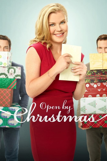 Poster for the movie «Open by Christmas»