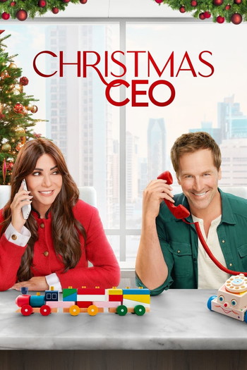 Poster for the movie «Christmas CEO»