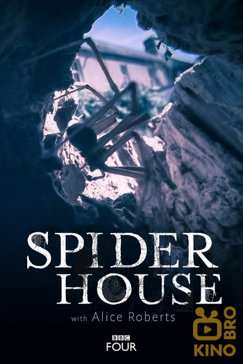 Poster for the movie «Spider House»