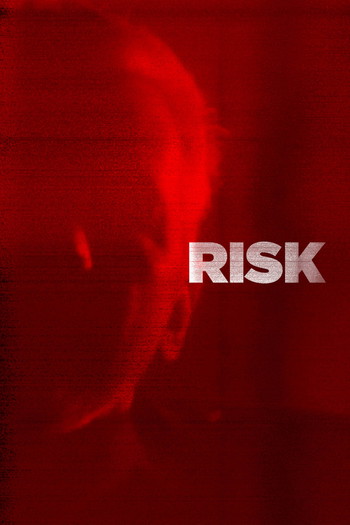 Poster for the movie «Risk»