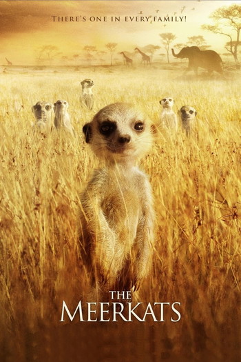 Poster for the movie «The Meerkats»