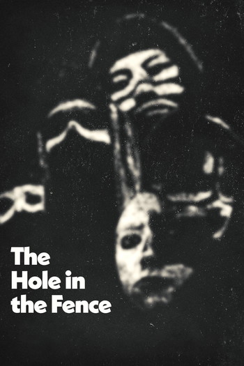 Poster for the movie «The Hole in the Fence»