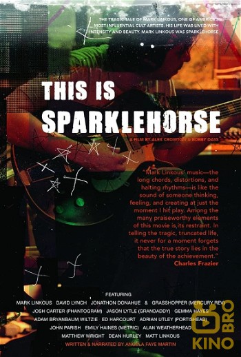 Poster for the movie «This Is Sparklehorse»