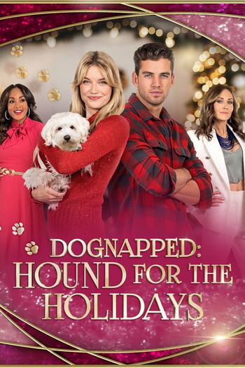 Poster for the movie «Dognapped: A Hound for the Holidays»