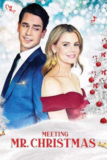 Poster for the movie «Meeting Mr. Christmas»