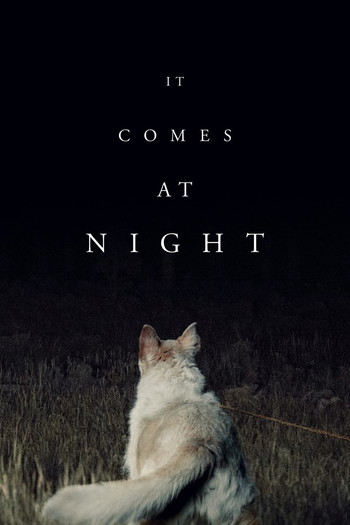 Poster for the movie «It Comes at Night»