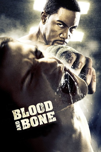 Poster for the movie «Blood and Bone»