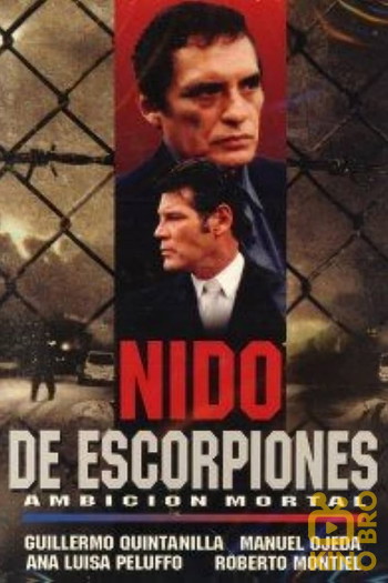 Poster for the movie «Nest of Scorpions»