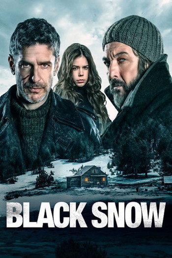 Poster for the movie «Black Snow»