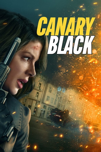 Poster for the movie «Canary Black»