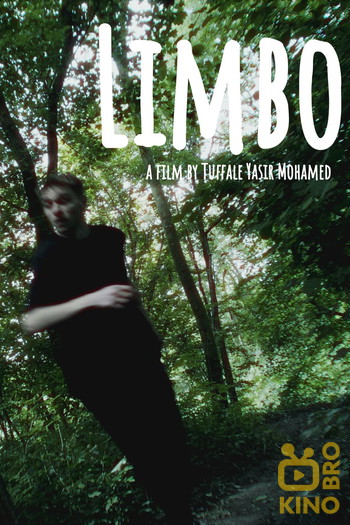 Poster for the movie «Limbo»