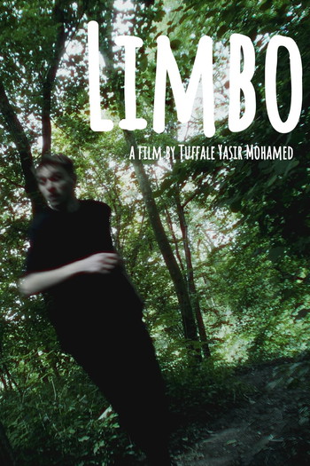 Постер до фільму «Limbo»