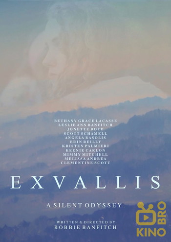 Poster for the movie «Exvallis»