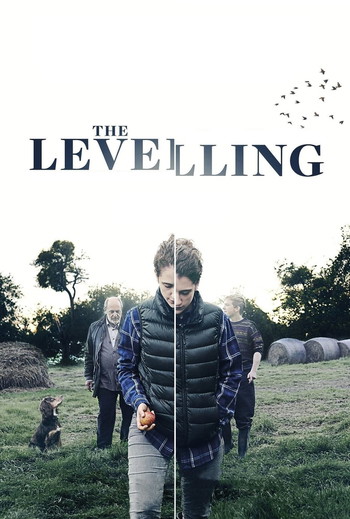 Poster for the movie «The Levelling»