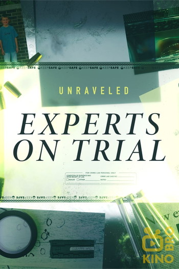 Poster for the movie «Unraveled: Experts on Trial»