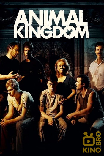 Poster for the movie «Animal Kingdom»