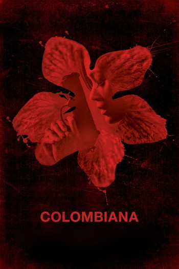 Poster for the movie «Colombiana»