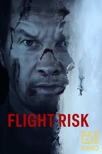 Poster for the movie «Flight Risk»