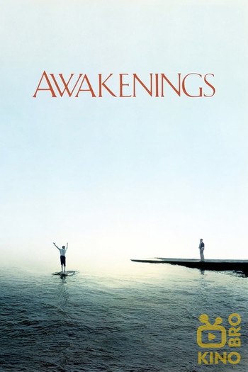 Poster for the movie «Awakenings»