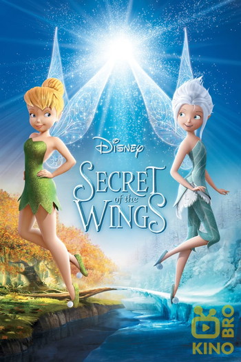 Poster for the movie «Secret of the Wings»