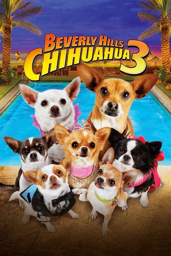 Poster for the movie «Beverly Hills Chihuahua 3: Viva la Fiesta!»