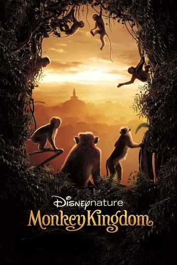 Poster for the movie «Monkey Kingdom»