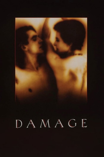 Постер до фільму «Damage»