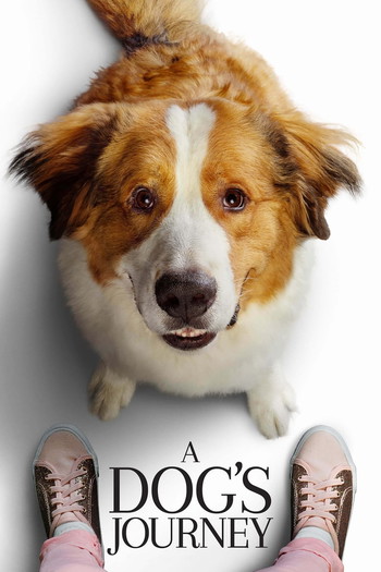 Poster for the movie «A Dog's Journey»