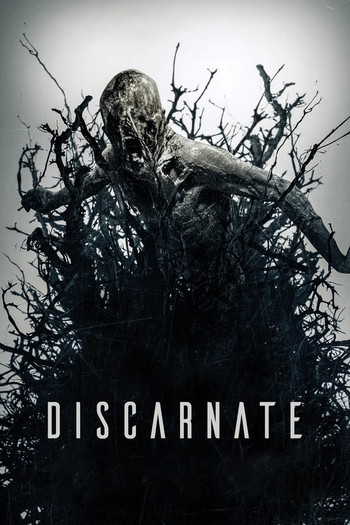 Poster for the movie «Discarnate»