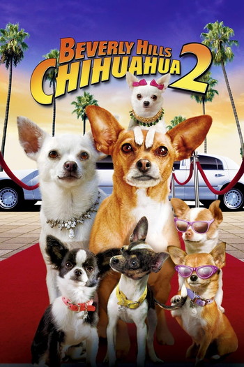 Poster for the movie «Beverly Hills Chihuahua 2»