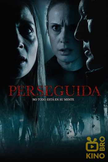 Постер к фильму «Perseguida»