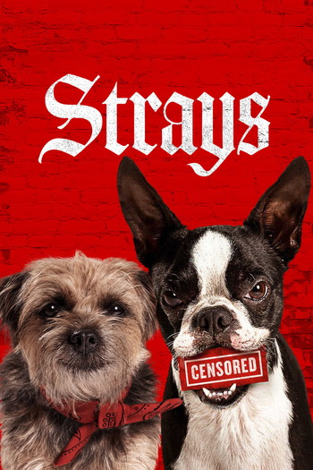 Poster for the movie «Strays»