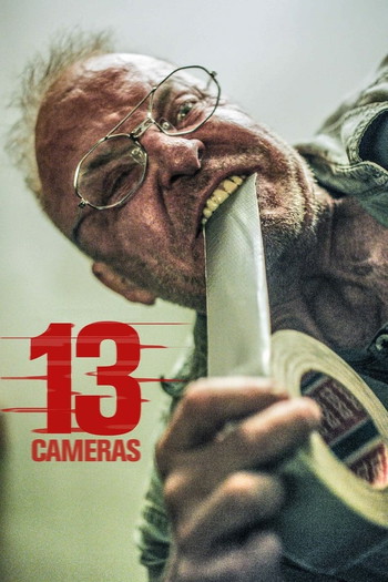 Poster for the movie «13 Cameras»